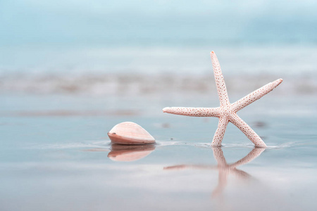 海星在沙滩上的夏季，有海洋背景。