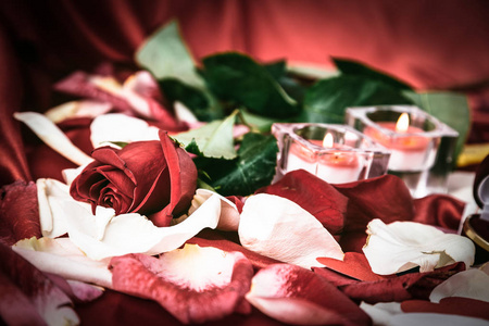 两支蜡烛和玫瑰花瓣背景上的红玫瑰
