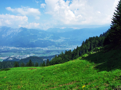 瑞士圣加仑阿尔维耶山州莱茵河河谷莱茵河景观