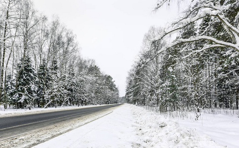 雪上的道路覆盖了森林莫斯科地区