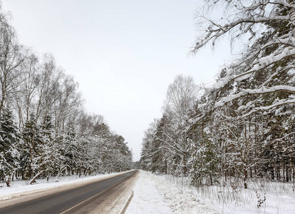 雪上的道路覆盖了森林莫斯科地区