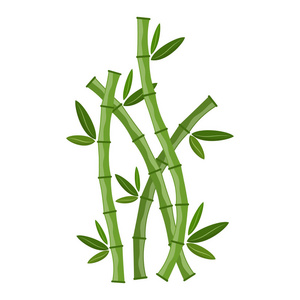 绿色的竹子枝叶。 矢量图。 竹茎。 竹子图标。