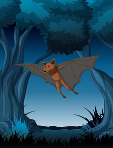 一只蝙蝠在黑暗的森林飞翔
