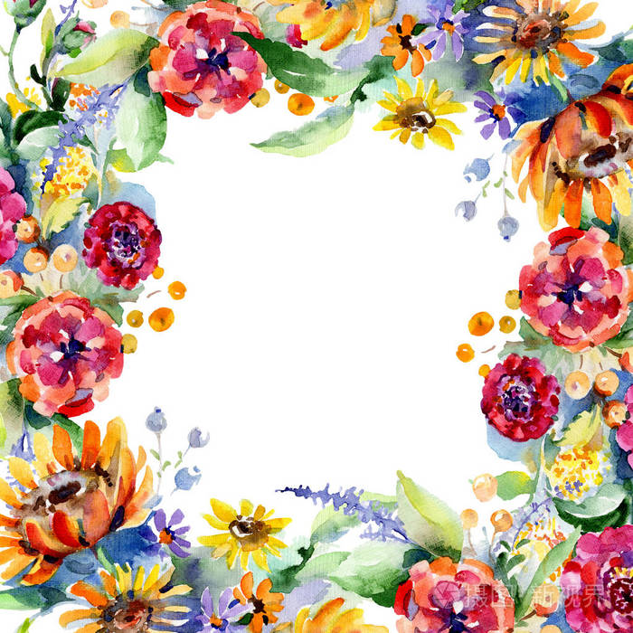 花束花植物花。水彩背景插图集。框架边框装饰正方形