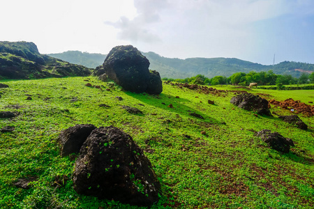 美丽的绿色草坪与小有趣的石头，在半岛附近的戈卡纳村。印度