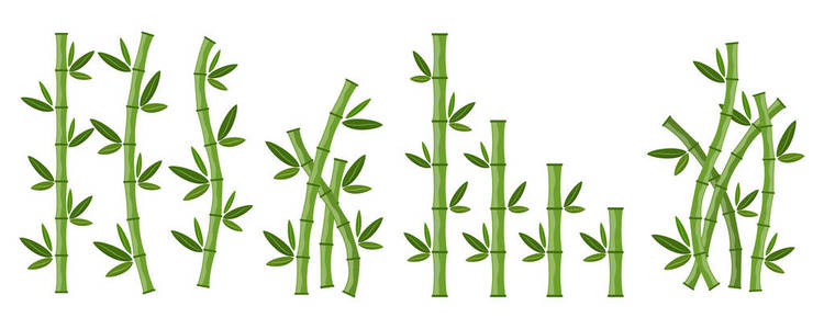 大集翠竹枝叶..矢量图。竹茎。竹子图标。