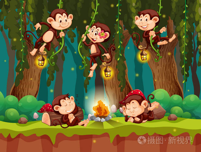 猴子在野生森林插图