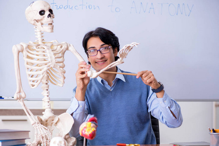 教学解剖学的年轻讲师教师