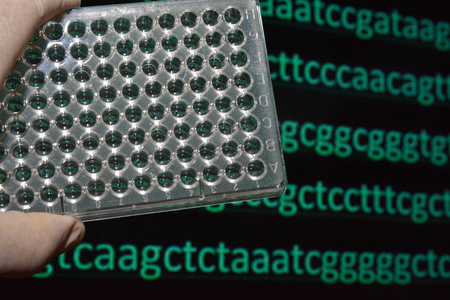 分子遗传学和生物技术。 在科研实验室里。