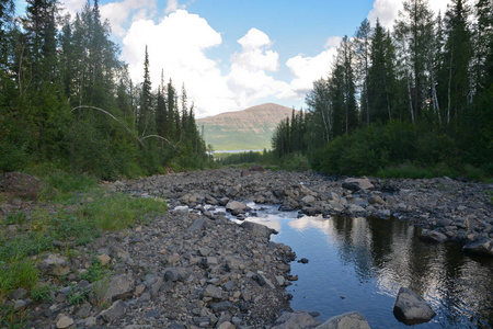 普托拉纳高原上的山溪。 西伯利亚北部山峡有一条小溪的景观。