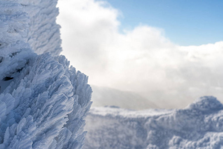 冬季景观背景。 雪质地的详细视图。