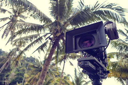 在棕榈树背景下拍摄的电影中使用专业的电影摄影机