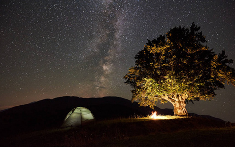 夜间在大树附近的山上露营