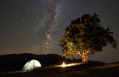 夜间在大树附近的山上露营