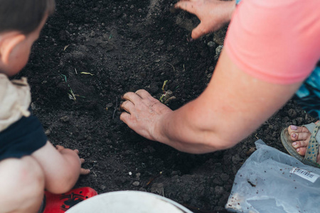 妇女手种植一根茎, 幼苗在一个洞里充满了水, 肥料。在春天种花。靠近男孩帮助, 看和观察。学习园艺