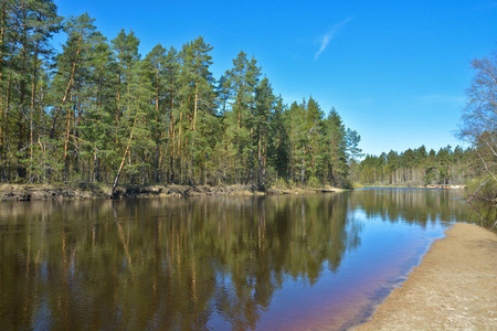 可能在森林河上。 俄罗斯中部国家公园的春季河流景观。