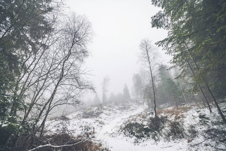 冬天的风景，在一片雾蒙蒙的森林里，地上有雪，小山上有树的轮廓