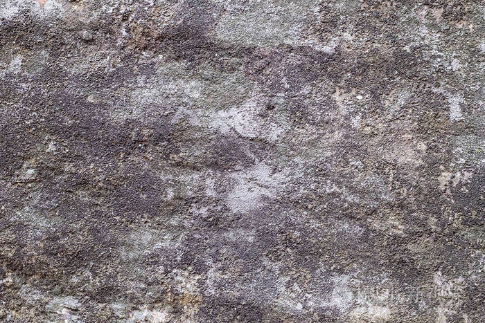 石头表面的纹理户外苔藓和地衣在石头表面.照片-正版商用图片18qbzo-