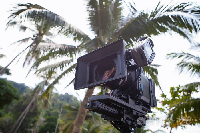 在棕榈树背景下拍摄的电影中使用专业的电影摄影机