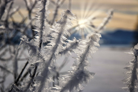 冰雪晶体特写