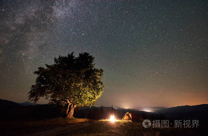 夜间在大树附近的山上露营