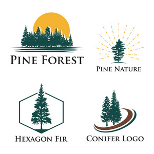 松茸针叶树露营探险自然标志图片