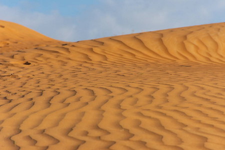在美丽的阳光和蓝天背景下，沙丘荡漾。