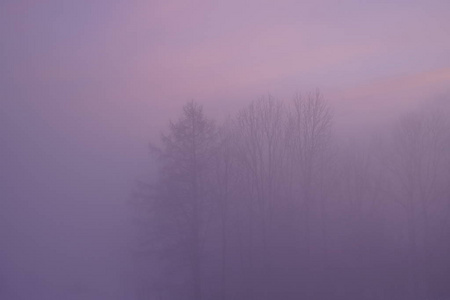 雾蒙蒙的早晨。 冬天二月日出油漆。