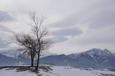 冬季景观。 山脉。 雪山和山脚下的雪。 美丽的云彩和太阳。