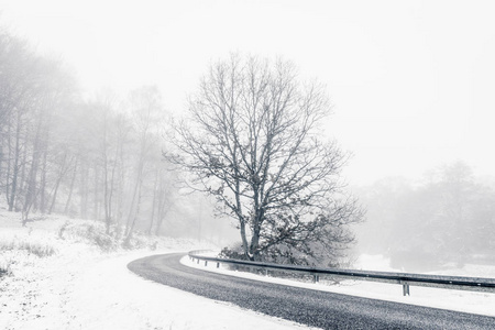 冬天，雪和雾蒙蒙的天气条件下，公路曲线上孤独的树