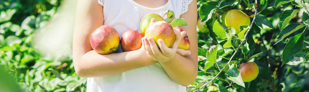 带着苹果的孩子。 选择性聚焦。 花园食品
