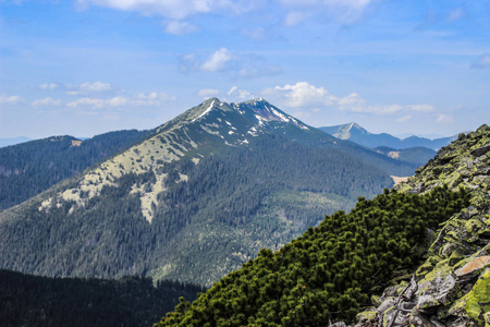 在晴朗的夏日，青山鲤鱼的全景。