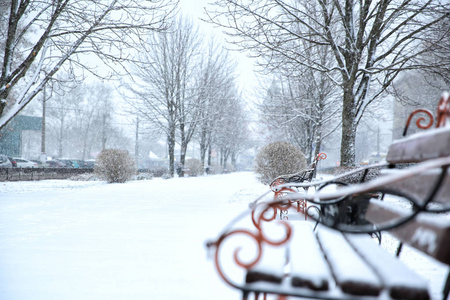 冬季城市公园，雪暴日有长凳。 文本空间