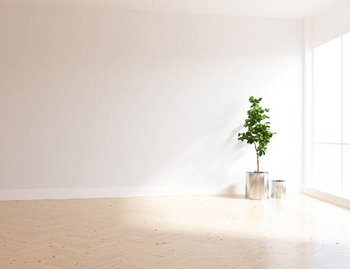 空的斯堪的纳维亚室内与木地板上的植物的想法。北欧内饰之家。三维图解图解