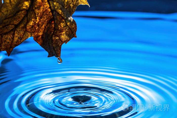 惊人的美丽蓝色背景水滴在水面上做圆圈