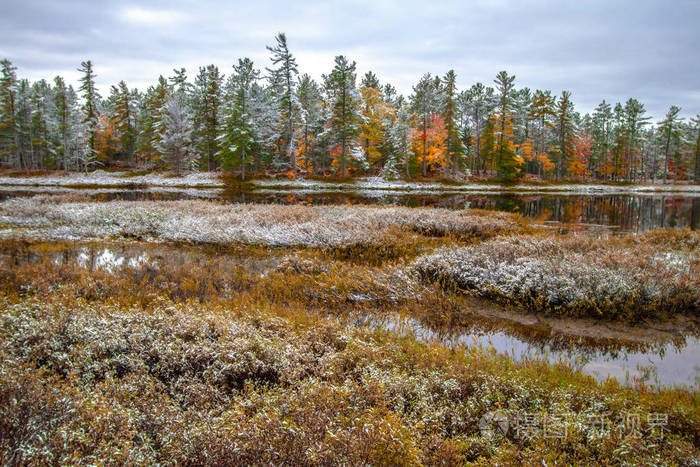 广阔的荒野湿地,秋天的树叶和一层新鲜的落雪在风景优美的森林在地平