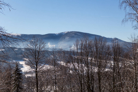 冬季景观冬季多云天气下森林多雪的冬树..冬天自然宁静的景象，冬天的森林里覆盖着白雪