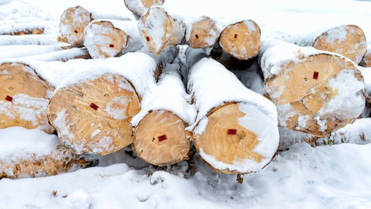 木头在雪上劈柴。 很多木头。 木制原木背景。 燃料。 为冬天收集木柴