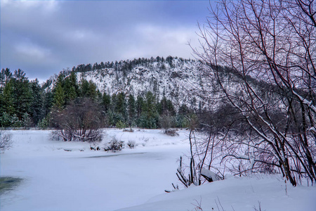 冬天的河流和长满白霜的树枝