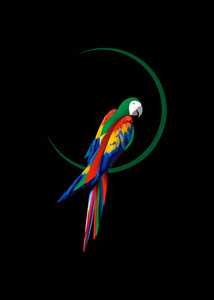 鹦鹉标志理念设计美丽的猩红鹦鹉鸟自然彩色矢量插图孤立或黑色背景