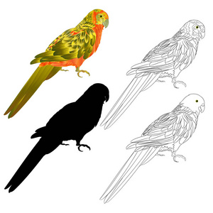 热带鸟鹦鹉日自然和轮廓和轮廓在白色背景矢量插图可编辑手绘