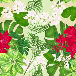 无缝质地花束热带花卉布置与美丽的红杜鹃，雪莲，菲林，自然背景，复古矢量插图，可编辑手绘