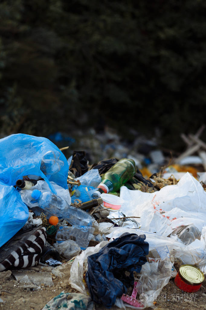 倾倒在公园附近的树木浪费自然污染在森林的中央