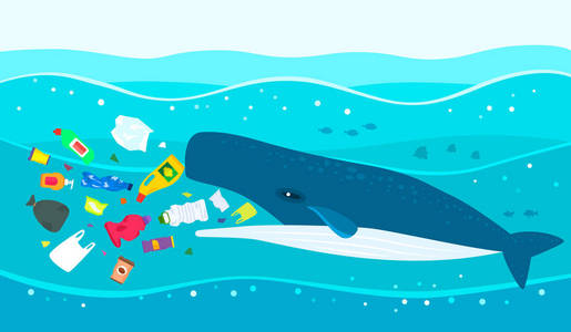 海洋塑料垃圾的生态灾害. 一只大抹香鲸在污染的海洋上吃塑料垃圾.