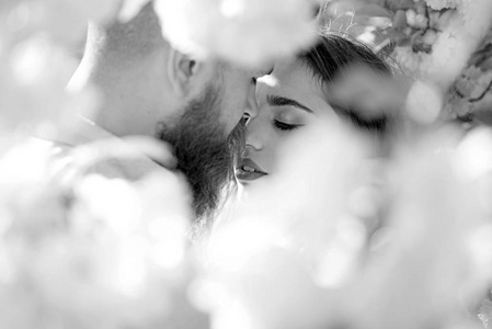 春天的时候, 男人和女人在盛开的花园里接吻.樱花树附近的情侣拥抱.