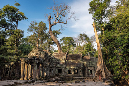柬埔寨吴哥塔普伦古庙