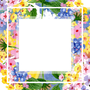 粉红色的兰塔纳花植物花。水彩背景插图集。框架边框装饰正方形