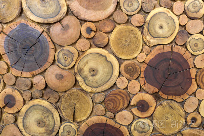 圆木未涂漆的实心天然生态软色棕色和黄色树桩背景树切割不同大小的垫