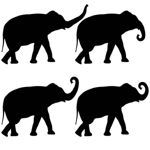 设置剪影大非洲大象在白色背景
