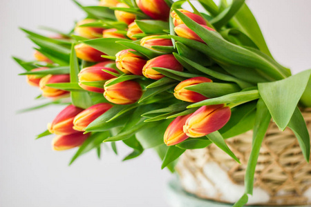 3月8日冬春节雪篮中的郁金香花束